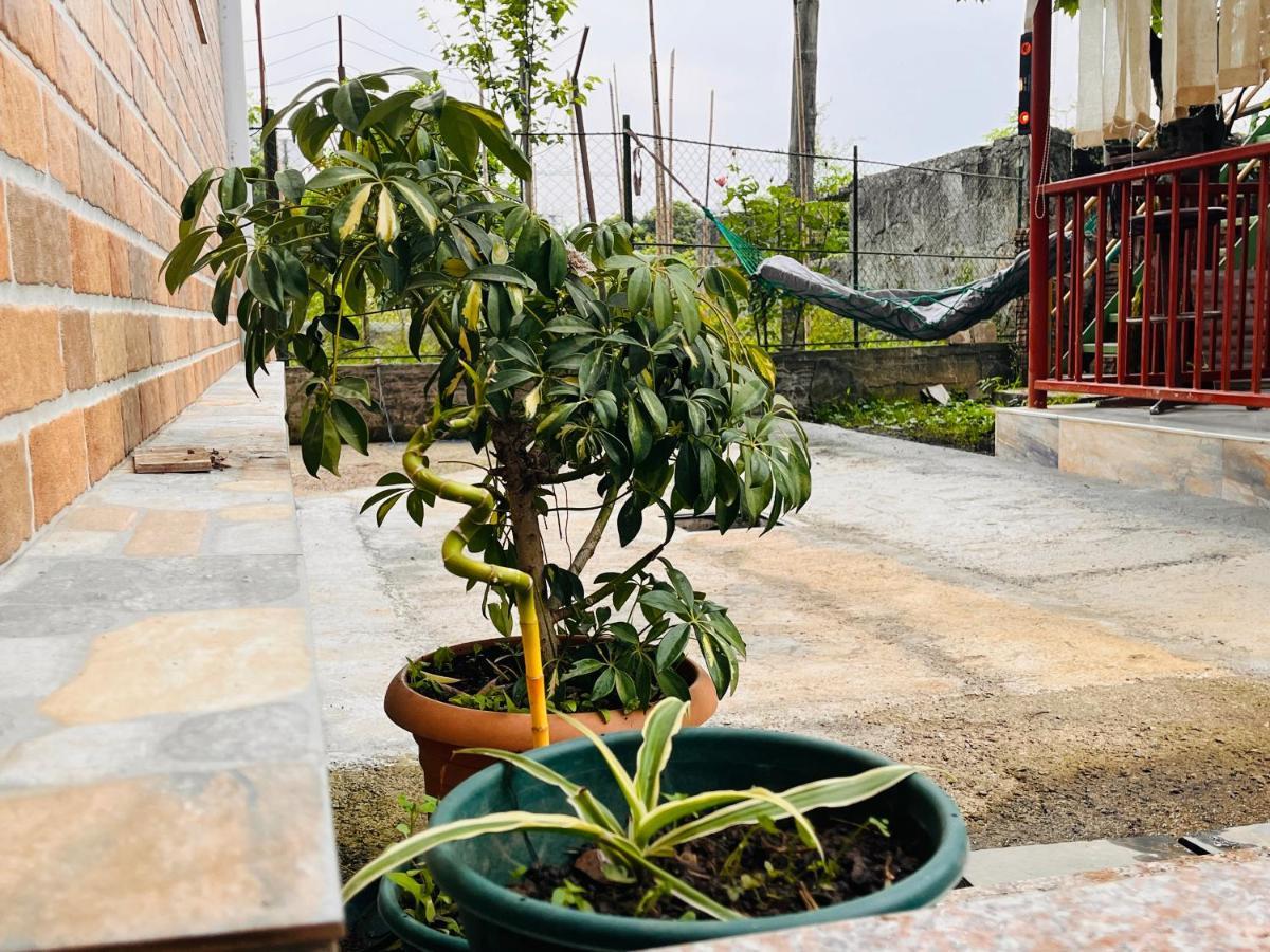 Dato'S Guesthouse Makhinjauri Exterior photo