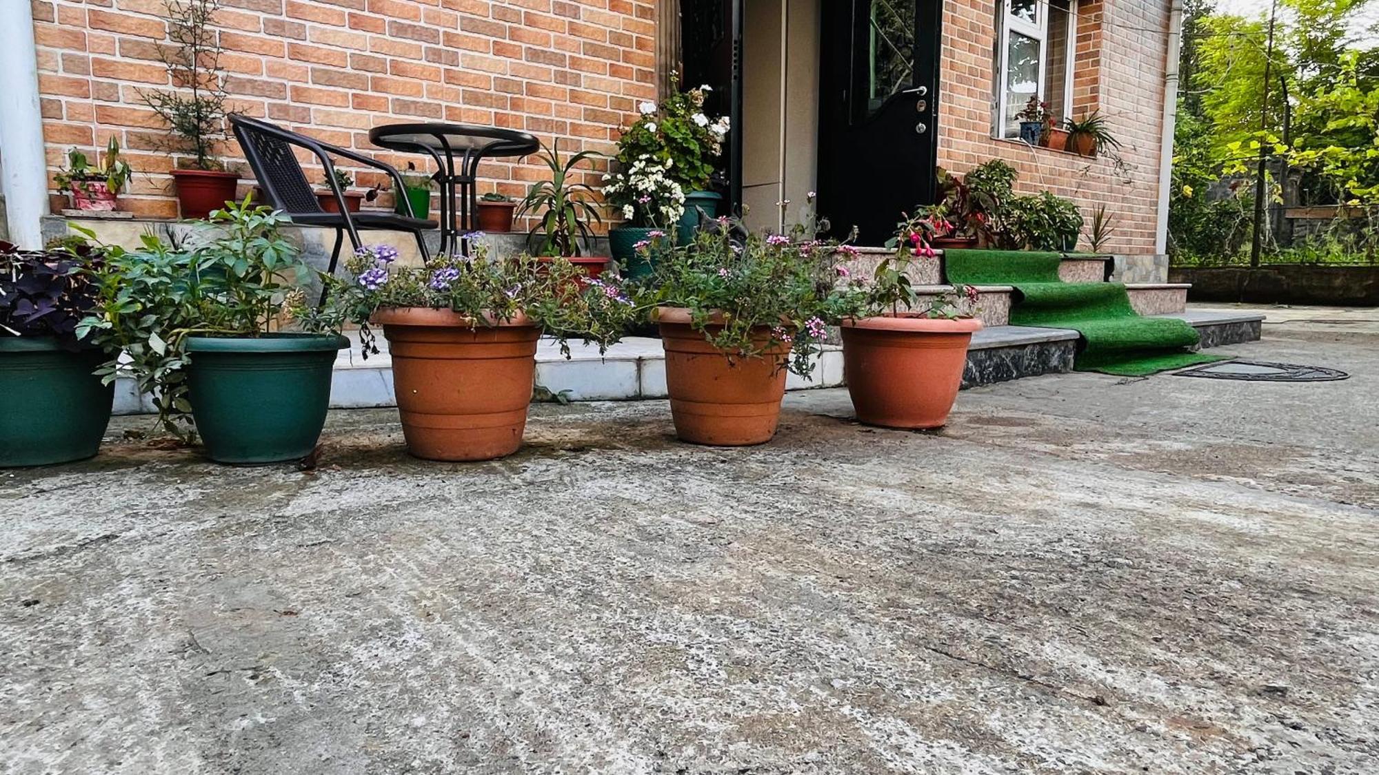 Dato'S Guesthouse Makhinjauri Exterior photo